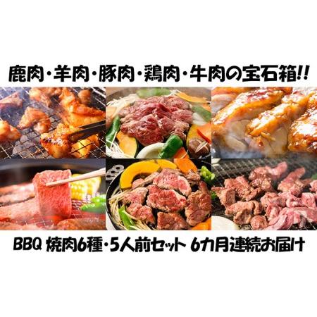 ふるさと納税 エンジョイ！BBQセット　〜焼肉6種　5人前コース〜 北海道木古内町