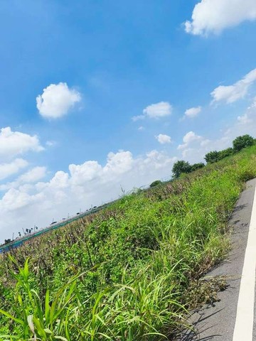 東山漂亮雙面路農地｜台南市東山區東山段