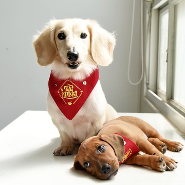 【招財進寶】寵物紅包口袋刺繡領巾