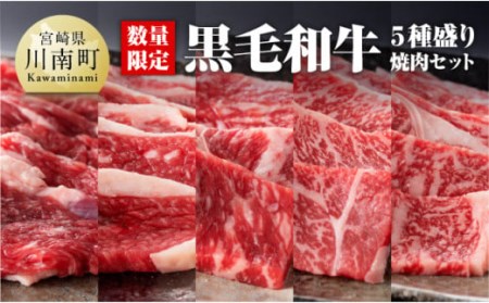 ※令和6年2月より順次発送※黒毛和牛5種盛り 焼肉セット（数量限定）600g 