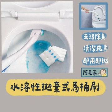 馬桶刷 壁掛馬桶刷 拋棄式馬桶刷 一次性馬桶刷 馬桶刷套組 清潔刷 馬桶清潔劑 桶清潔刷 刷子 浴室刷 刷子