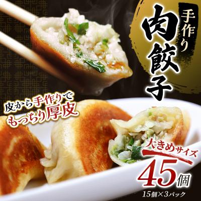 ふるさと納税 釧路市 肉餃子45個(15個×3) 冷凍餃子 ギョーザ ぎょうざ 中華 冷凍食品 惣菜F4F-2508