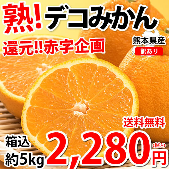 デコポン 同品種 訳ありデコみかん 5kg 箱込 (内容量4kg 不良果補償分500g） 熊本県産