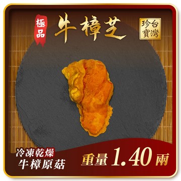 寶芝靈極品嚴選｜牛樟椴木子實體（冷凍乾燥牛樟菇20000以上品級）約1.40兩（編號8）