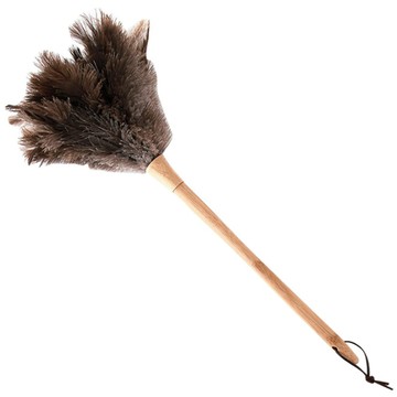 NATURE LIVING 鴕鳥羽毛除塵撢子  木柄  混色  1支