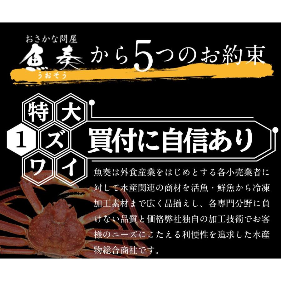 ボイル ズワイガニ 特大 脚 5kg お歳暮 ギフト かに カニ 蟹 ずわい