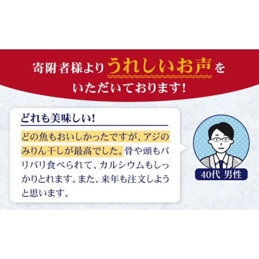 ふるさと納税 長崎県 壱岐市 壱岐牛と旬の海産物セットE      干物 ひもの みりん干し タイ  アジ イワシ カマス ロース 肩ロース 詰め合わせ …