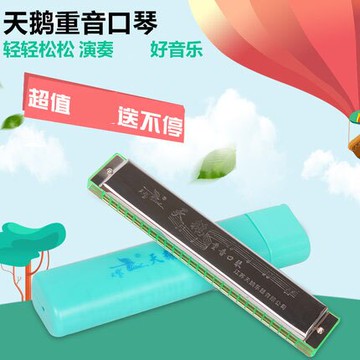 天鵝24孔重音復音C調口琴 成人初學入門演奏兒童口琴