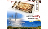 紀州和歌山産天然足赤えび540g×2箱（270g×4パック）化粧箱入 ※2023年11月上旬～2024年2月下旬頃順次発送予定（お届け日指定不可）／海老 エビ えび クマエビ 足赤 天然 おかず