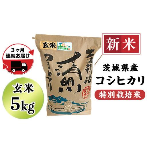 ふるさと納税 茨城県 阿見町 20-22茨城県産コシヒカリ特別栽培米5kg（玄米）