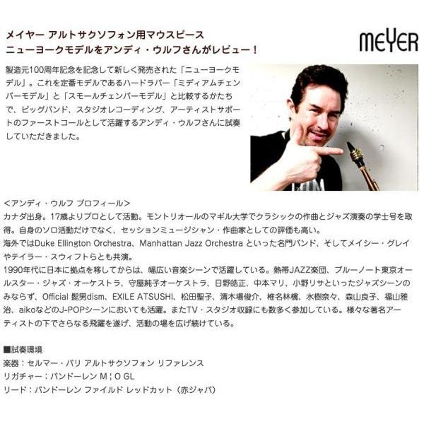 MEYER ニューヨークモデル 7M アルトサックス ラバー マウスピース NY alto saxophone Mouthpieces 100th Anniversary New York