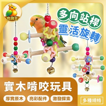【鳥國王】實木啃咬玩具 趣味旋轉架 益智玩具 磨嘴磨爪串 原木啃咬串 鸚鵡磨嘴玩具 吊掛攀爬玩具 拉扯玩具 鸚鵡玩具