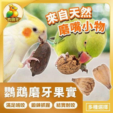【鳥國王】鸚鵡磨牙果實 磨牙玩具 佛手果 大花生 核桃 鸚鵡磨牙果實 鸚鵡磨牙玩具 磨牙零食 鳥磨牙用品 鳥玩具 鳥用品