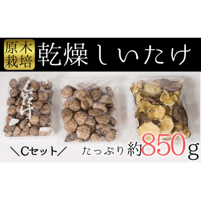 しいたけ好きの為の贅沢セット!臼杵産ふるさと乾しいたけCセット(計850g)