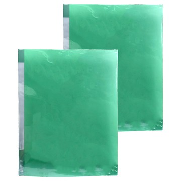 Lan CHYn 連勤牌文具 PP 馬卡龍色系資料簿 LC-40MK G 40張  綠色  2本