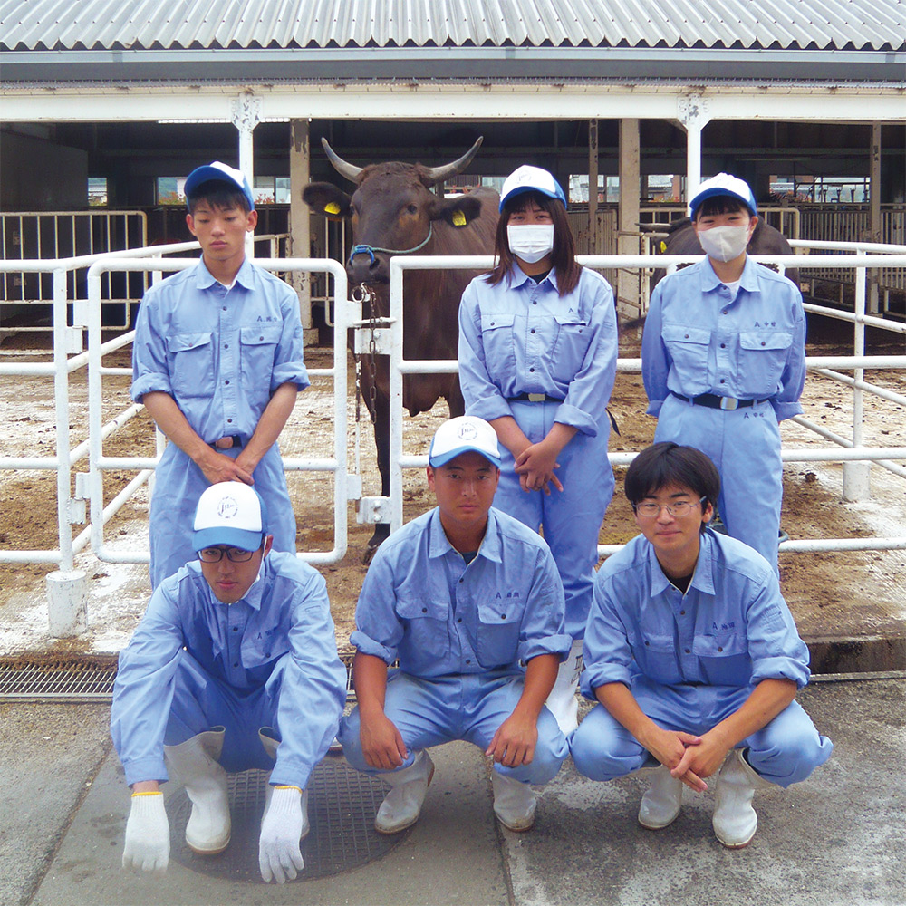 カワイ 〈カワイ〉県立石田高校で育てたオリーブ牛のすき焼用