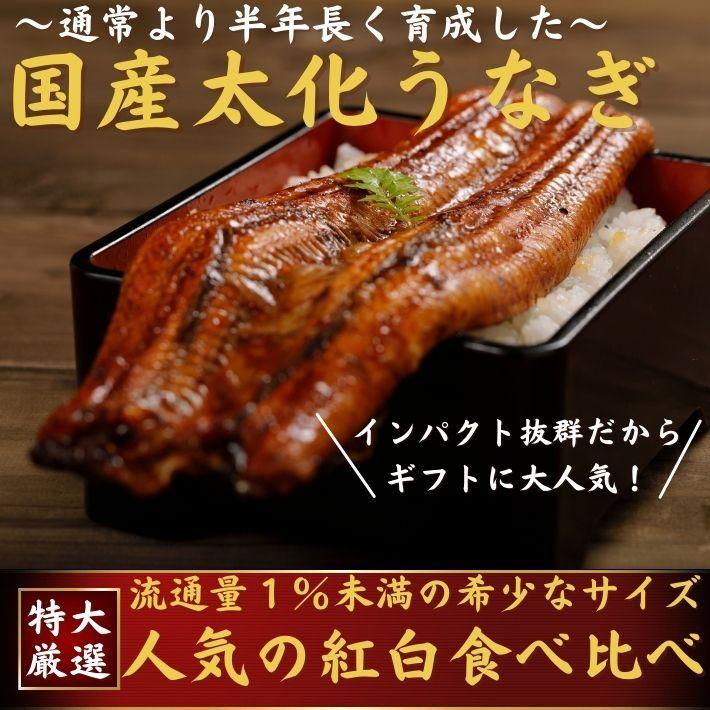 国産 うなぎ 蒲焼き 白焼き 食べ比べ 特大紅白ハーフセット各1枚 誕生日 ギフト