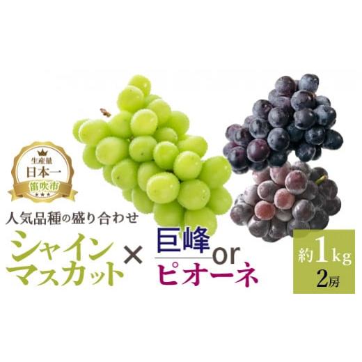 ふるさと納税 山梨県 笛吹市 ＜2024年先行予約＞厳選!! 池田青果のシャインマスカット・巨峰 or ピオーネ（1.0kg） 173-002