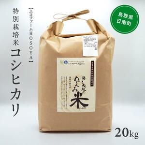 ふるさと納税 令和5年産 海と天地のめぐみ米(コシヒカリ)白米 20kg 鳥取県日南町