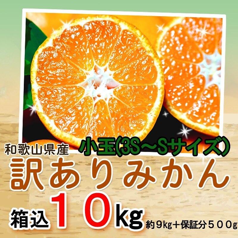 みかん 小玉（3S-Sサイズ） 10kg（箱込約10kg） 和歌山県産 訳あり・ご家庭用 送料無料（東北・北海道・沖縄県除く）