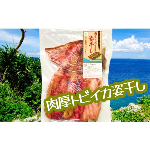 ふるさと納税 沖縄県 うるま市 肉厚トビイカの姿干し　5枚セット