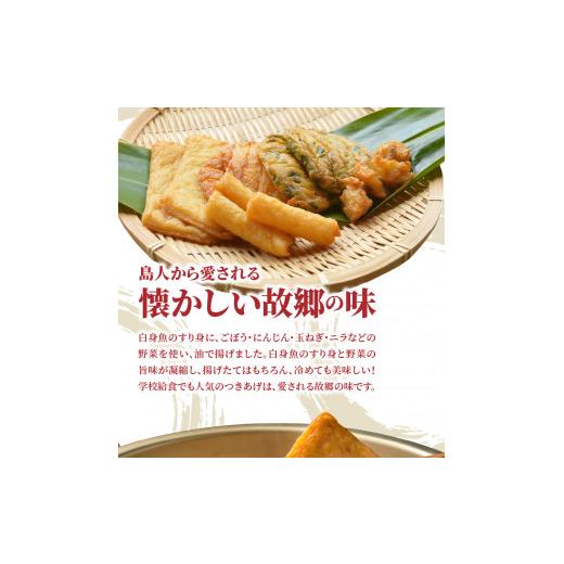 ふるさと納税 鹿児島県 奄美市 つきあげ（さつま揚げ）人気の詰合せEセット 練り物 魚肉 奄美特産 詰め合わせ おつまみ おかず さつ…