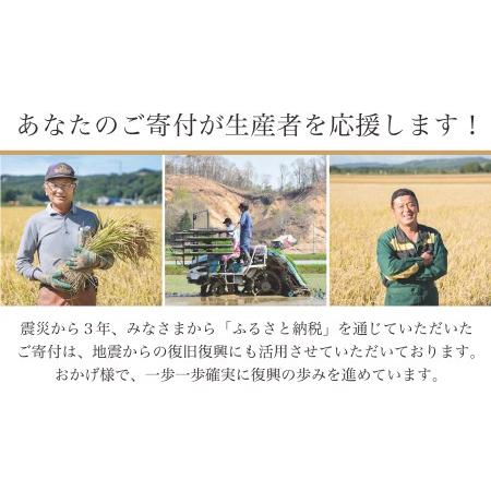 ふるさと納税 《令和5年度産 新米》一年間届く「北海道あつまのブランド米5kg」＋特産品3回定期便コース 北海道厚真町