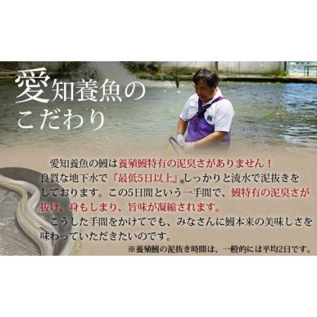 ふるさと納税 三河産うなぎ「超特大蒲焼き2尾(合計400〜420g)」×6回(隔月1回　1年間)・A133-102 愛知県西尾市