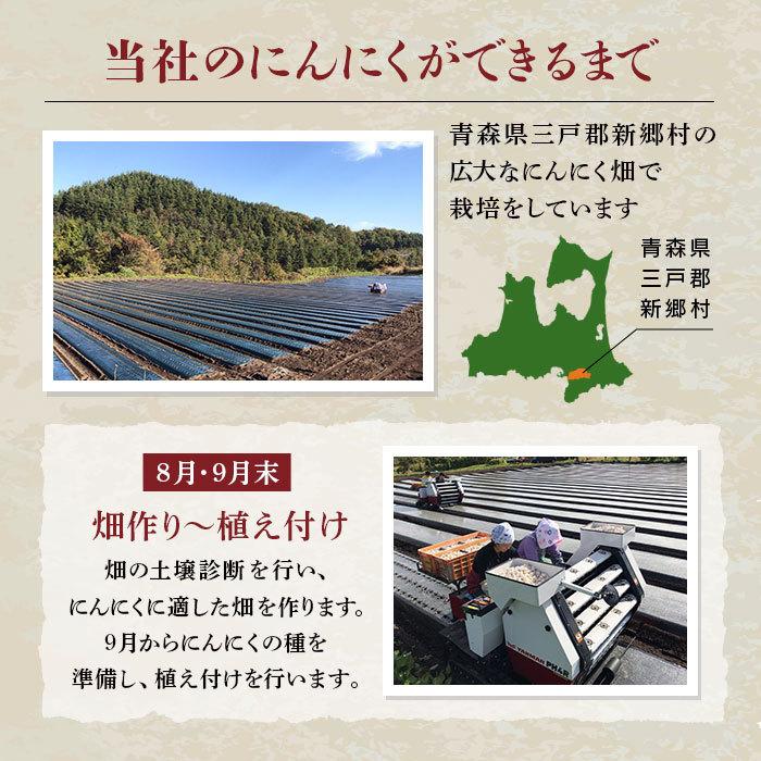 黒にんにく 黒ニンニク 青森県産 にんにく ニンニク 国産 青森 青森産 青森県 送料無料 青森県産黒にんにく 熟成黒にんにく 無添加 黒