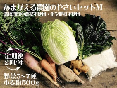 あまがえる農園のやさいセットM（栽培期間中農薬・化学肥料不使用）