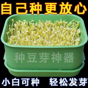 臺灣🚍8H出🉑新款家用髮豆芽工具神器食品級髮芽盆生綠豆芽方法芽花生芽收納盒 ZHIN