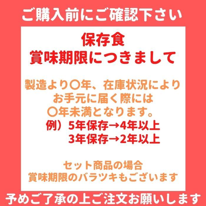 マジックライス 食べきりサイズ　ドライカレー　20食セット