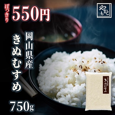 お米 新米 令和5年 岡山県産きぬむすめ750g ぽっきり お試し 特A米 一等米 メール便