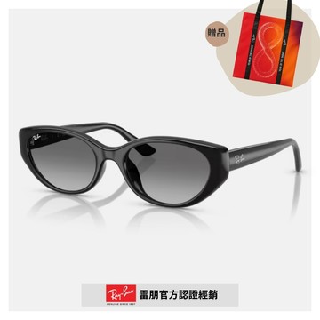 【RayBan 雷朋】復古潮流貓眼膠框漸層太陽眼鏡(RB4457D-667711 55mm)