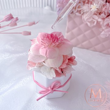 快速出貨💝心意無價【Floral M】Santa Monica加州落日香氛擴香花 沙灘粉（贈送5ml香氛油）摩羯座生日快樂