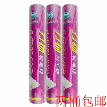 力揚羽毛球 練習級 耐打 飛行 穩定 媲美ks15非偏遠地區 2桶