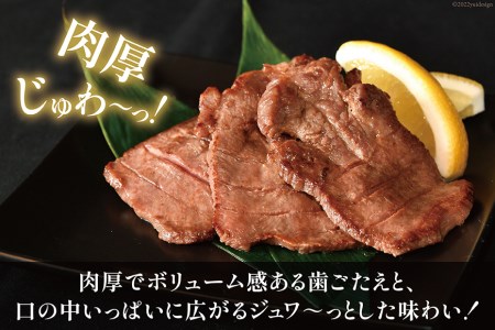 大人気！ 牛タン 厚切り牛タン塩味 500g   モ～ランド本吉   宮城県 気仙沼市 [20562921] 焼肉 牛肉 精肉 牛たん 牛タン塩 牛たん塩 冷凍 BBQ アウトドア バーベキュー