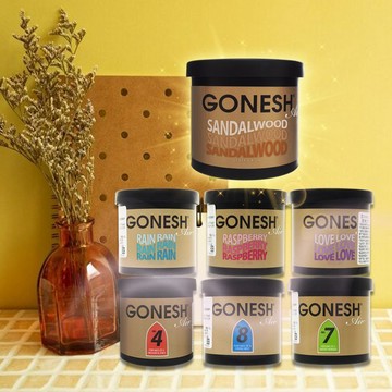 【日系報馬仔】GONESH 日本 芳香膠 100g  芳香劑 增量版大容量 香氛 車用芳香 香氛罐 DS025871