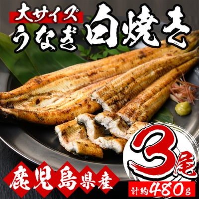 厳選!鹿児島県産うなぎ白焼き大3尾(約480g)