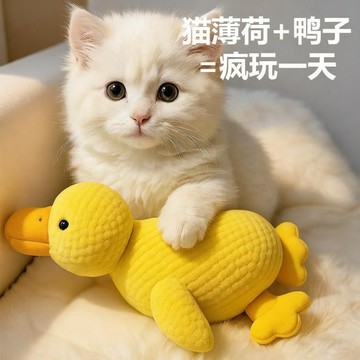 💗小紅書推薦💗貓玩具耐咬磨牙響紙發聲小貓毛絨貓薄荷玩具鴨寵物逗貓棒自嗨解悶💗桃園出貨