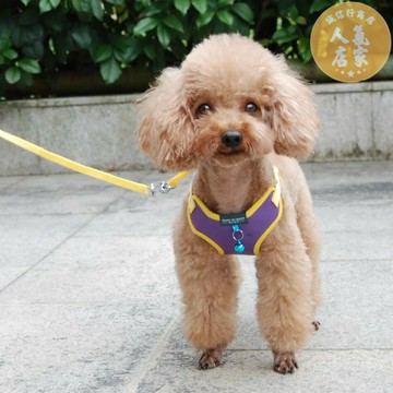 狗狗牽引繩/狗繩/狗鍊 寵物狗狗家用狗繩牽引繩貓狗背心式護體胸背帶皮革軟料網布遛狗繩