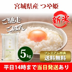 新米 米 5kg 宮城県産 つや姫 1等米 令和5年産 お米 5kg プレミアム特典 送料無料 北海道・沖縄配送不可 即日発送 クーポン対象 5キロ 安