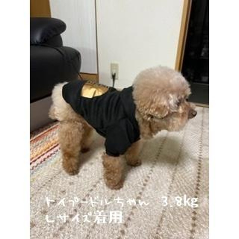 パーカー 犬服 THE DOG FACE ドッグフェイス ペットウェア 秋冬