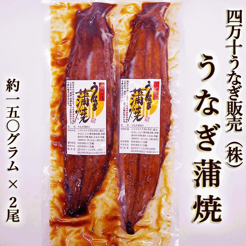 あす着く ギフト うなぎ 蒲焼き 国産 四万十うなぎ（株） 約150g×2尾 送料無料 大サイズ 高知産 うなぎ ウナギ 鰻 蒲焼き 国産 土用丑の日 お歳暮 お中元