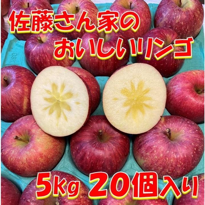 リンゴ フジ 5kg 秋田県産 贈り物 贈答 お歳暮　 佐藤さん家のおいしいリンゴ 5kg 20個入り 送料無料