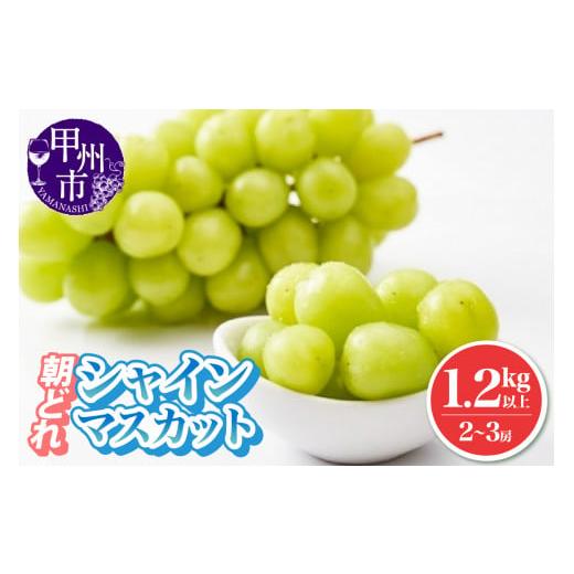 ふるさと納税 山梨県 甲州市 朝どれ シャインマスカット 1.2kg以上 2〜3房入り 農家直送（IS）B-473