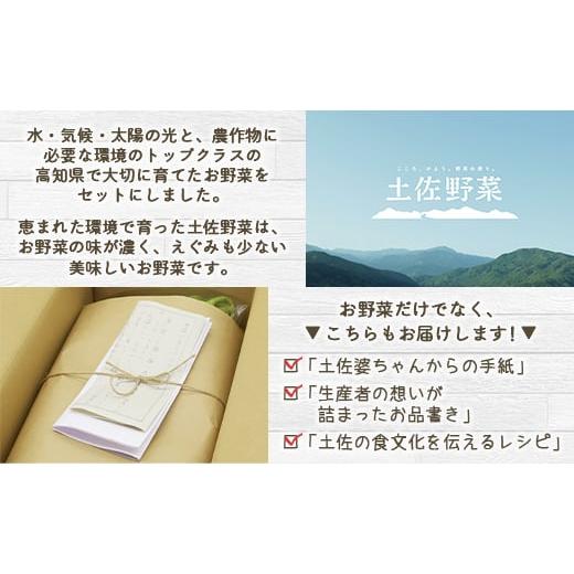 ふるさと納税 高知県 香南市 定期便3回コース 高知県香南市産 旬のお野菜詰合せ(10〜13品目)  やさい おまかせ セット 土佐野菜 新鮮 高知県 香南市 Wpr-000…