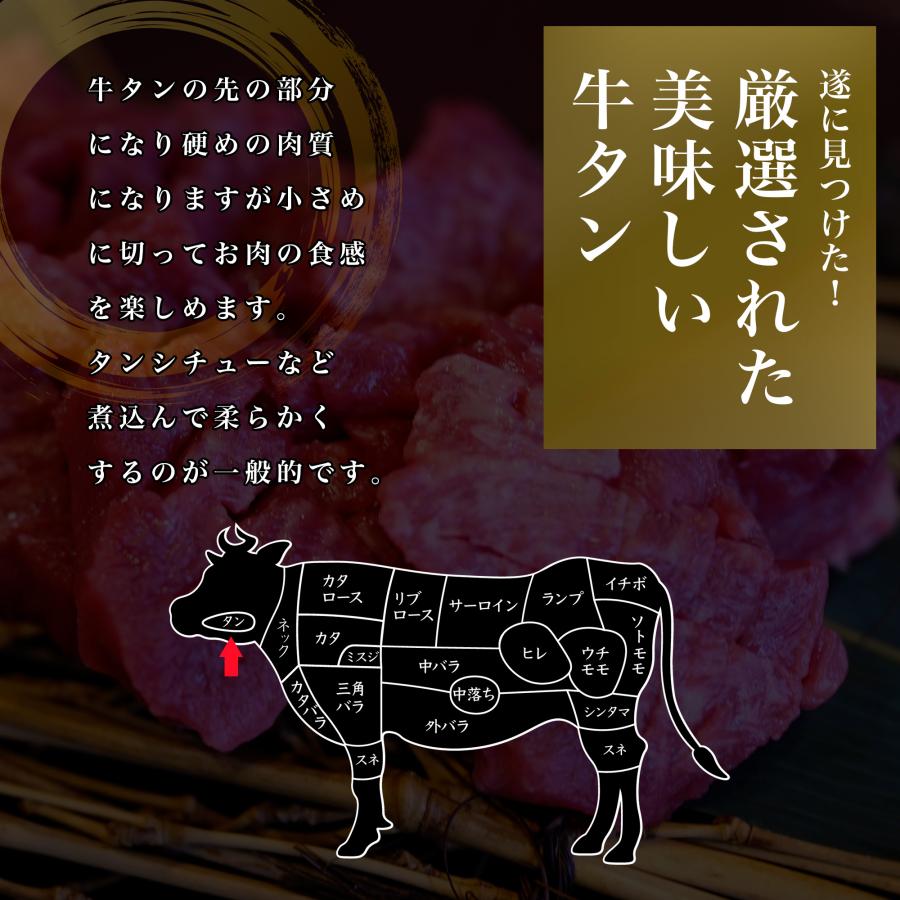 タン先 塩タン 牛タン 牛肉 ステーキ スライス ホルモン 焼肉 BBQ 柔らかい お試し 使いやすい 個包装 100ｇ×3