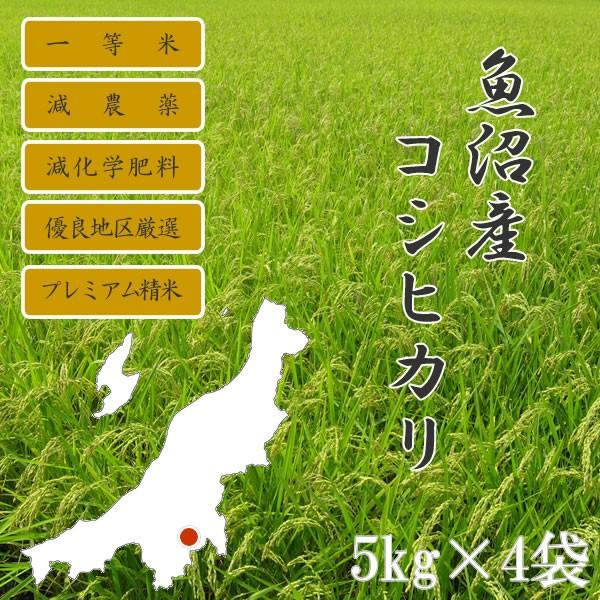 新米 令和5年産新潟県 魚沼産コシヒカリ 特別栽培米(減農薬米・減化学肥料米)コシヒカリ20kg (5kg×4袋)