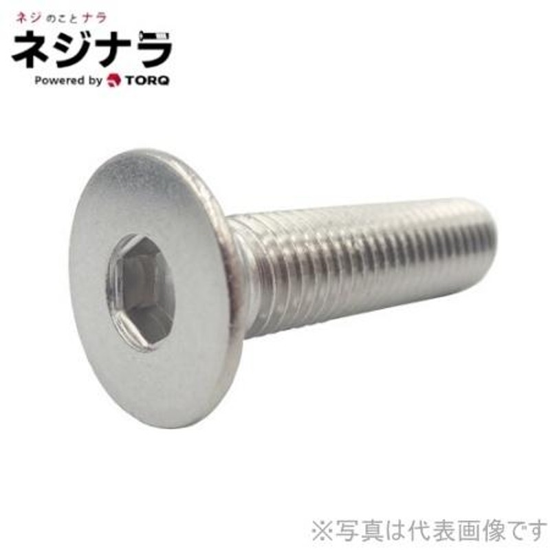 ネジナラ 皿ビス(-) SUS316L M16×70 (30個入) - 3